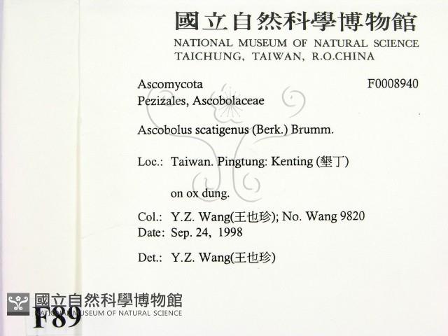 登錄號:F0008940藏品圖，第2張