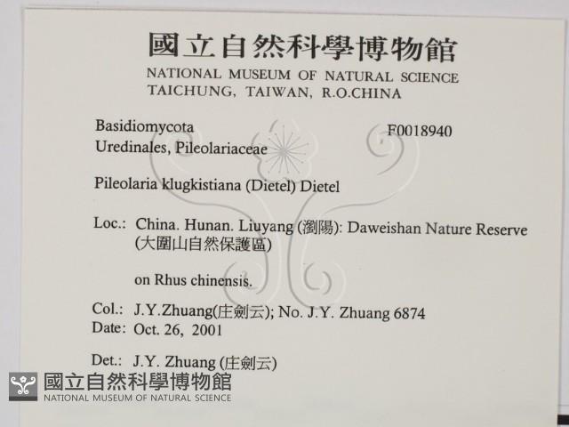 登錄號:F0018940藏品圖，第2張
