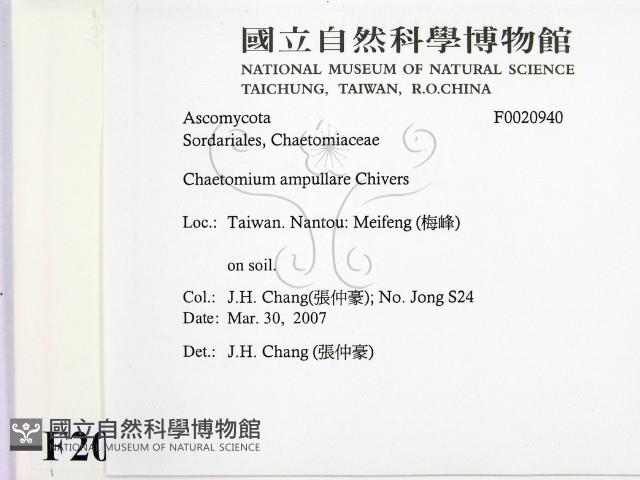 登錄號:F0020940藏品圖，第2張