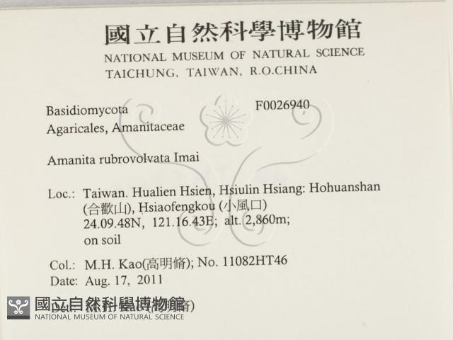 登錄號:F0026940藏品圖，第2張