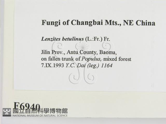 登錄號:F0006940藏品圖，第2張