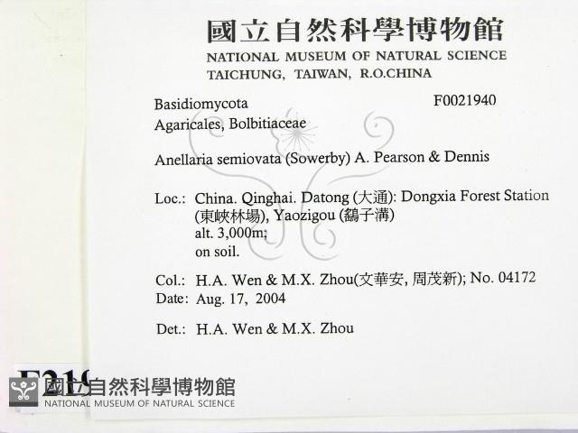 登錄號:F0021940藏品圖，第2張