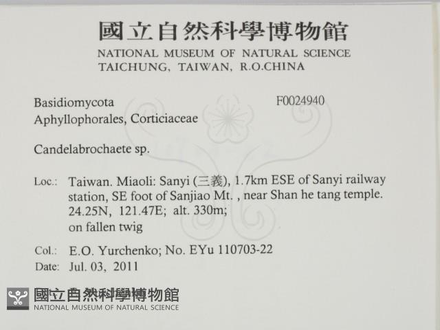 登錄號:F0024940藏品圖，第2張