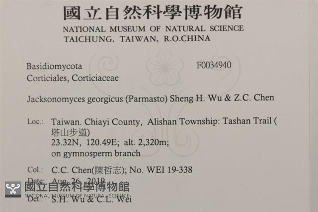 登錄號:F0034940藏品圖，第2張
