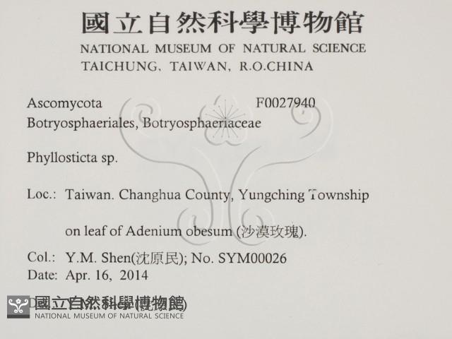 登錄號:F0027940藏品圖，第2張