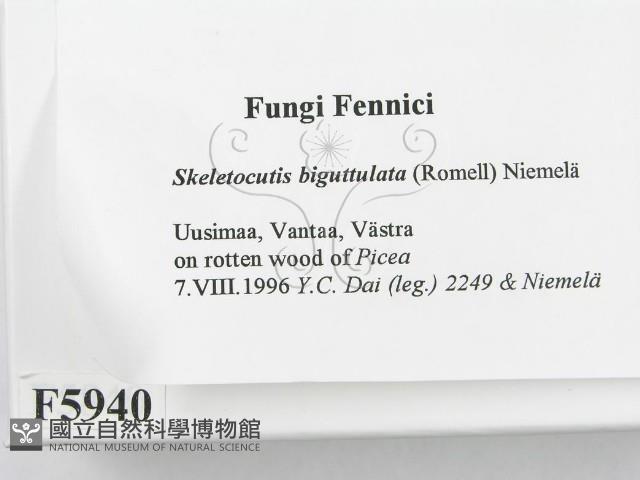 登錄號:F0005940藏品圖，第2張