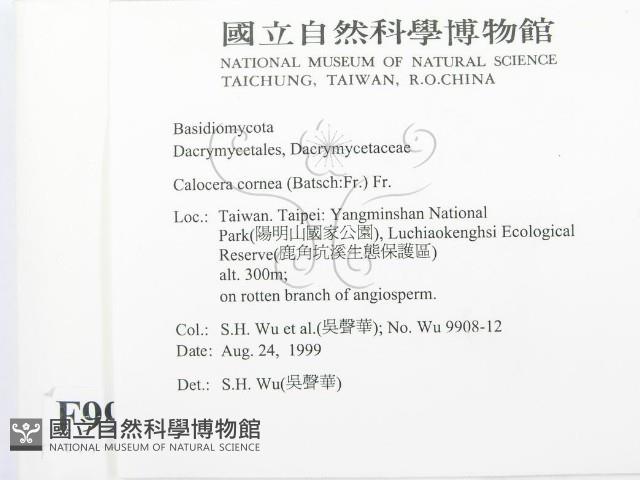 登錄號:F0009940藏品圖，第2張