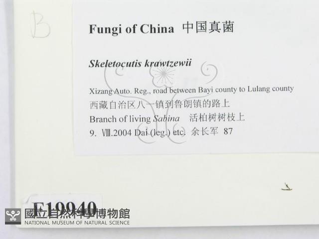 登錄號:F0019940藏品圖，第2張