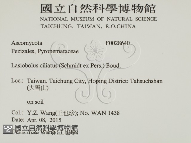 登錄號:F0028640藏品圖，第2張