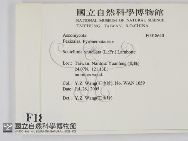 登錄號:F0018640藏品圖，第2張