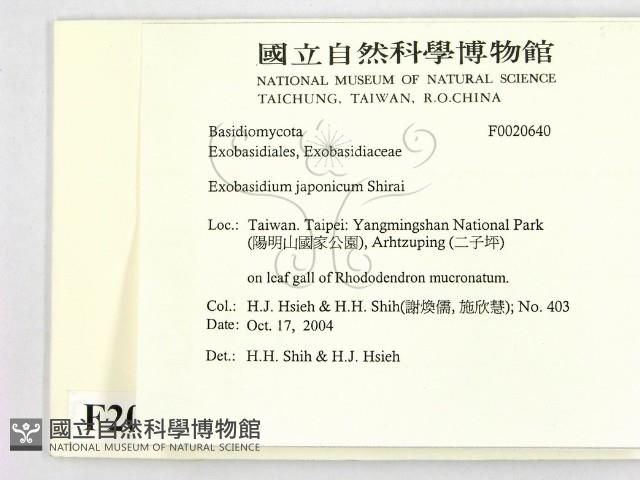 登錄號:F0020640藏品圖，第2張