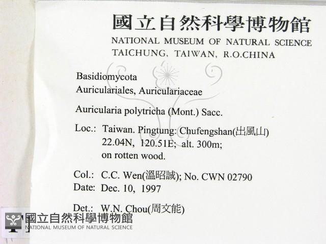 毛木耳藏品圖，第2張