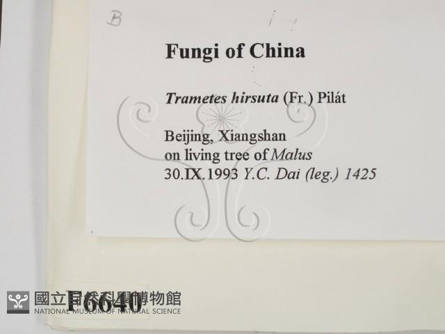 登錄號:F0006640藏品圖，第2張