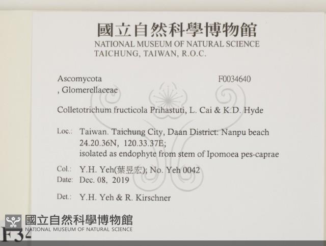 登錄號:F0034640藏品圖，第2張