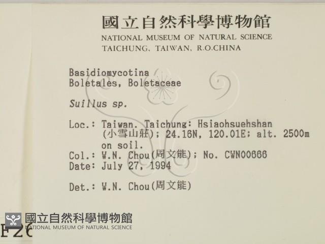 登錄號:F0002640藏品圖，第2張