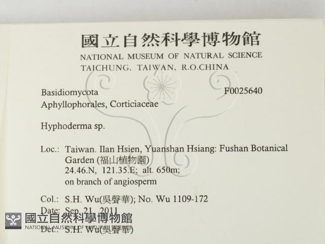 絲皮菌屬藏品圖，第2張
