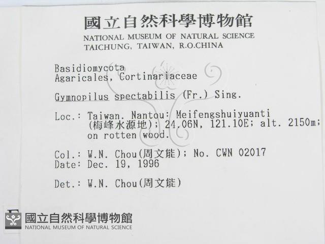 登錄號:F0005640藏品圖，第2張