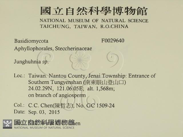 容氏菌屬藏品圖，第2張
