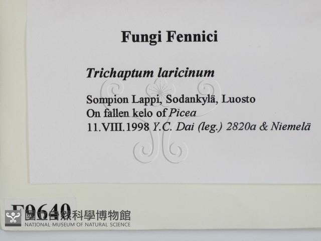 登錄號:F0009640藏品圖，第2張