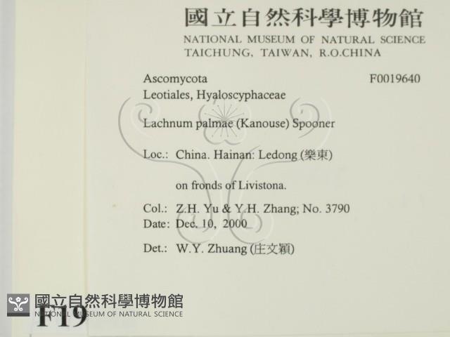登錄號:F0019640藏品圖，第2張