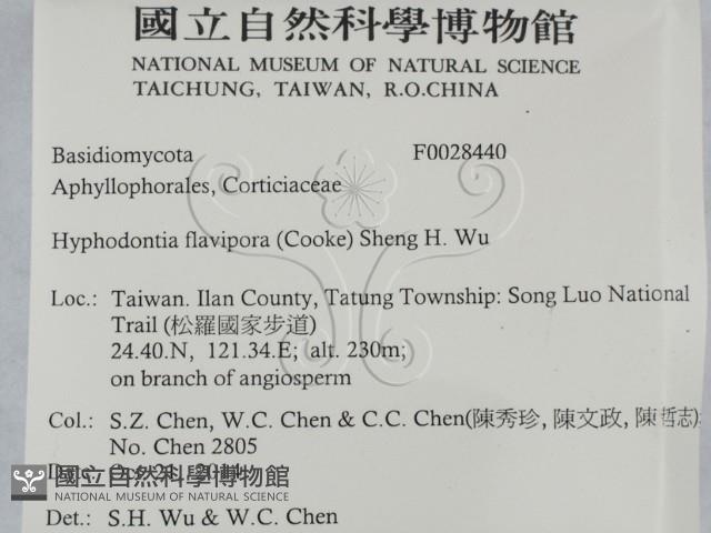 登錄號:F0028440藏品圖，第2張