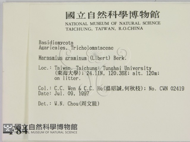 登錄號:F0008440藏品圖，第2張
