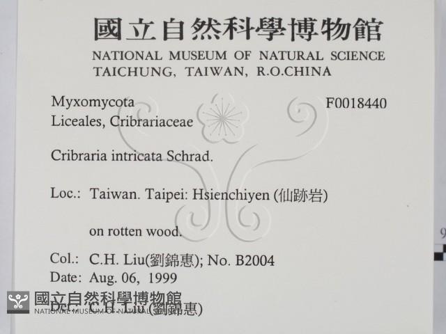 登錄號:F0018440藏品圖，第2張