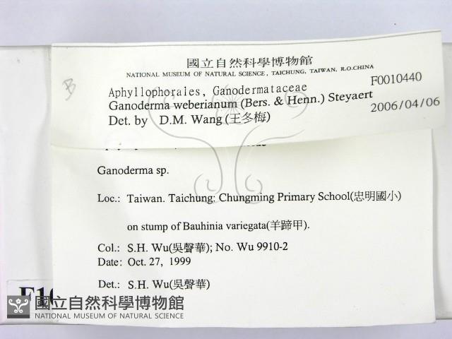 登錄號:F0010440藏品圖，第2張
