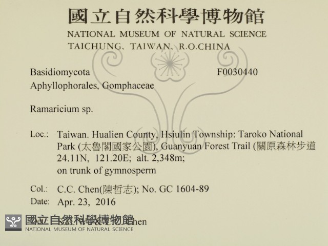 登錄號:F0030440藏品圖，第2張
