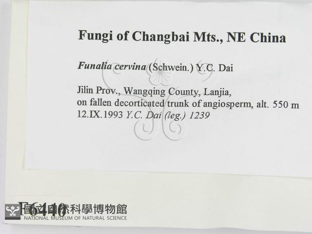 登錄號:F0006440藏品圖，第2張