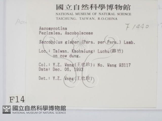 登錄號:F0001440藏品圖，第2張