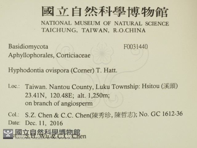 登錄號:F0031440藏品圖，第2張