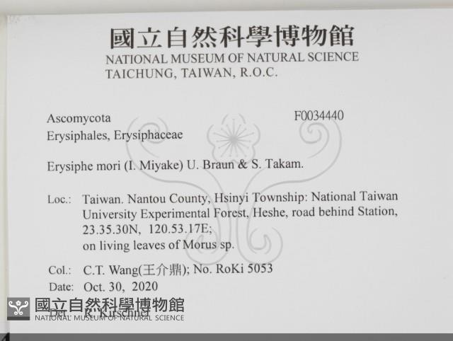 登錄號:F0034440藏品圖，第2張