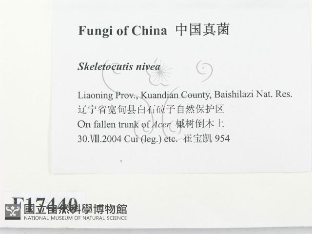 登錄號:F0017440藏品圖，第2張