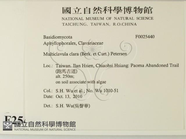 登錄號:F0025440藏品圖，第2張