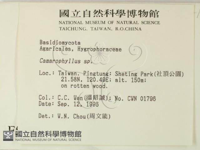 登錄號:F0005440藏品圖，第2張