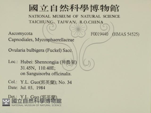 登錄號:F0019440藏品圖，第2張