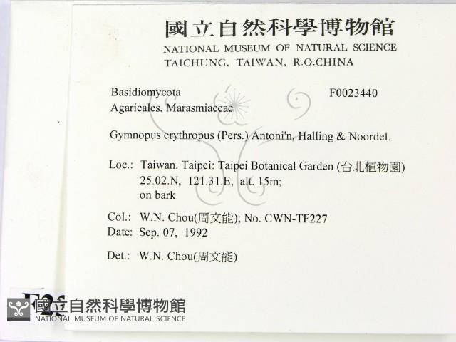 登錄號:F0023440藏品圖，第2張