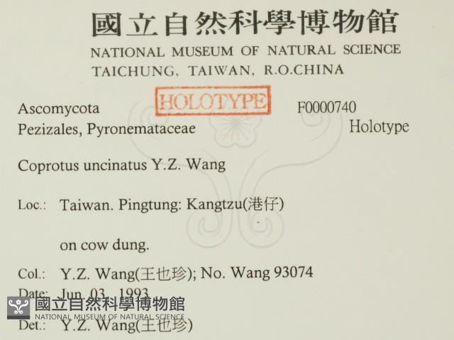 登錄號:F0000740藏品圖，第2張