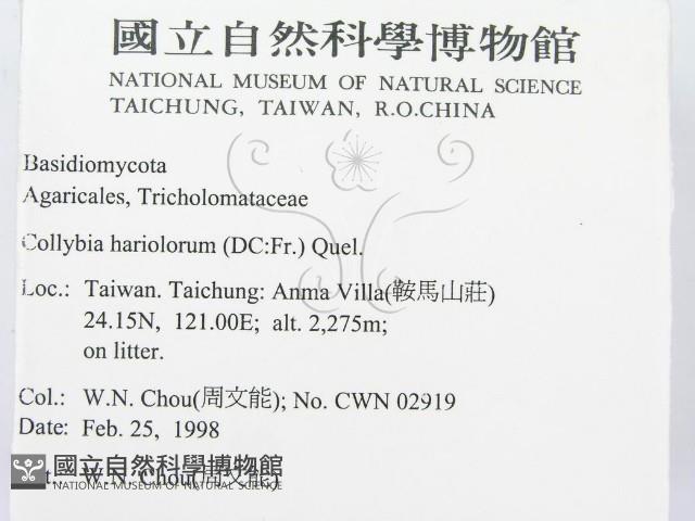 登錄號:F0010740藏品圖，第2張