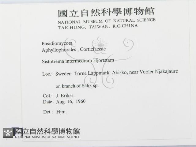 登錄號:F0016740藏品圖，第2張