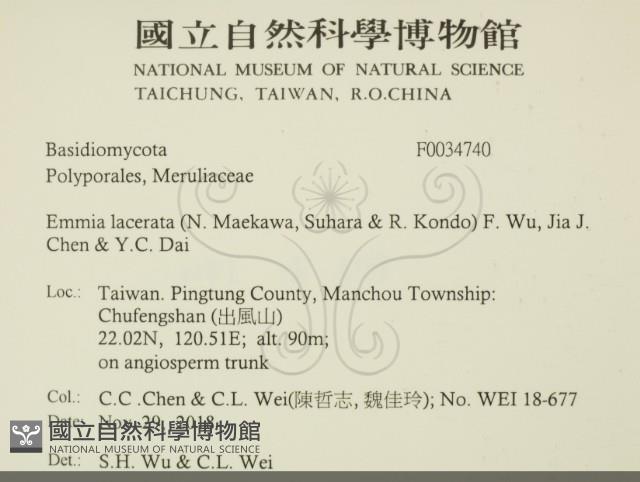 登錄號:F0034740藏品圖，第2張