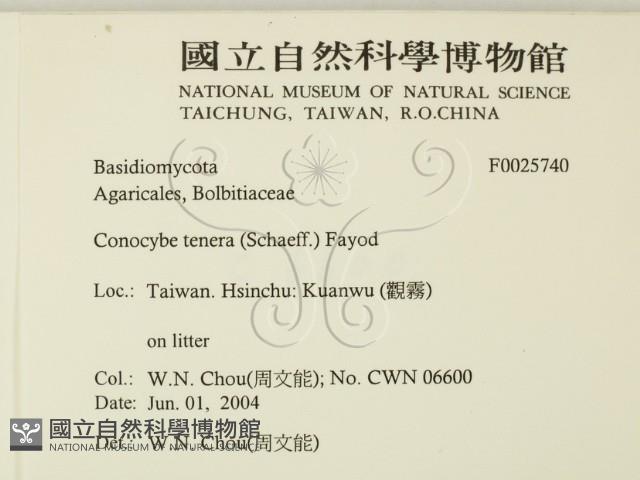 登錄號:F0025740藏品圖，第2張