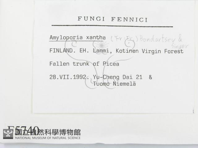 登錄號:F0005740藏品圖，第2張