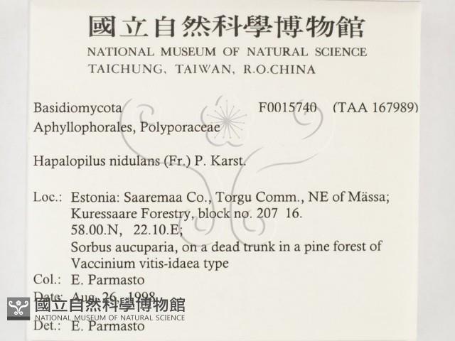 登錄號:F0015740藏品圖，第2張
