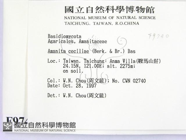 登錄號:F0009740藏品圖，第2張