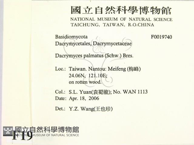 登錄號:F0019740藏品圖，第2張
