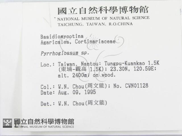 登錄號:F0003740藏品圖，第2張