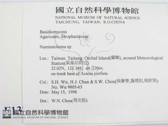 登錄號:F0013740藏品圖，第2張