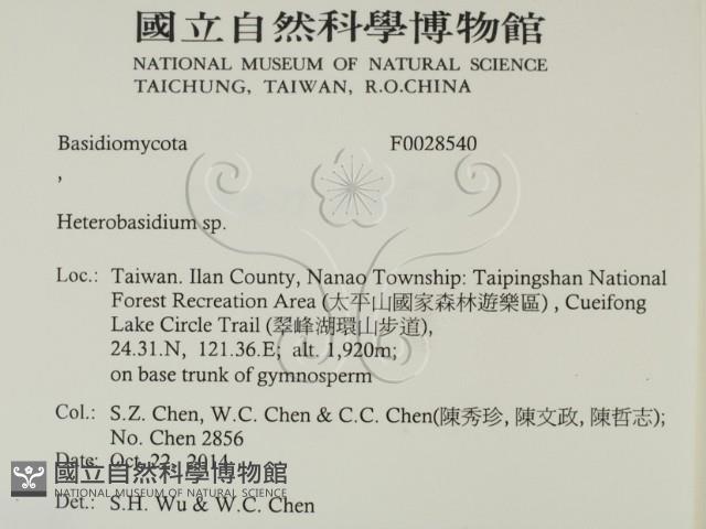 登錄號:F0028540藏品圖，第2張